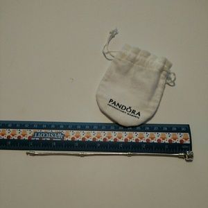 Pandora bracelet